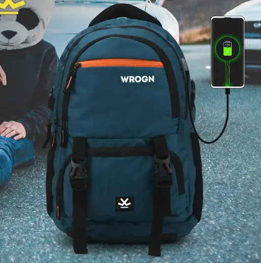 Large 40 L Laptop Backpack with Port and Rain Cover  (Blue)