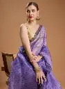 Karishma jimmy choo saree