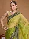 Karishma jimmy choo saree