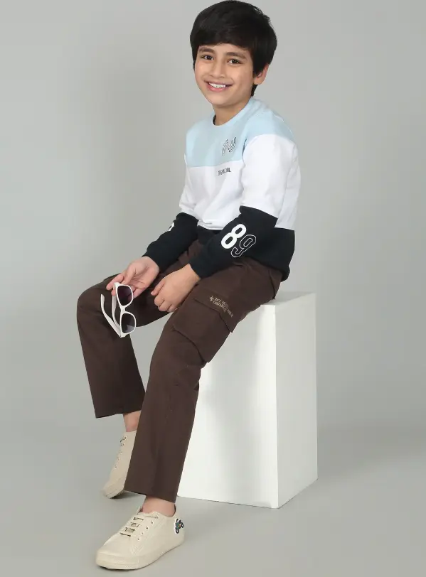 Brown Full Length Solid Regular Fit Casual Cargo for Boys