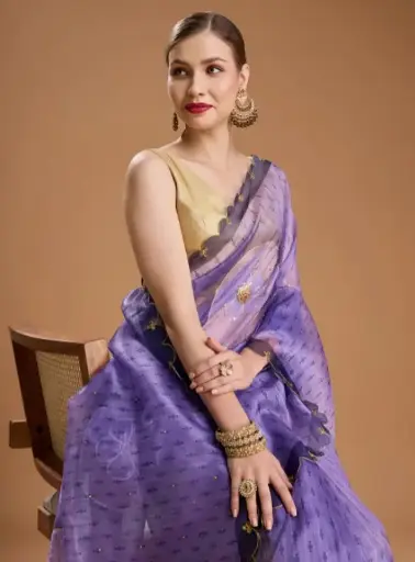 Karishma jimmy choo saree