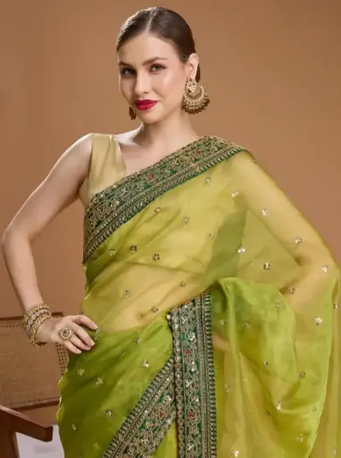 Karishma jimmy choo saree
