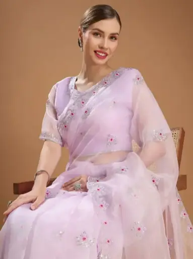 Karishma jimmy choo saree